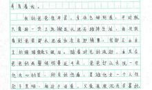 关于心愿的作文：心愿树_900字
