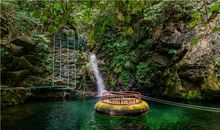 去山林中探险_650字