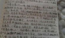 五年级日记：诚实的人_650字