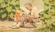 奶奶，谢谢你_500字