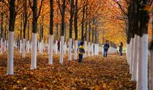 秋天的景色_700字