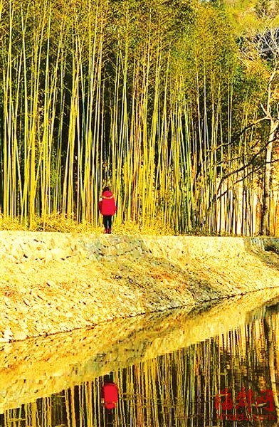 [PK赛]幸福的构图：寒冷的冬天和温暖的太阳_800字