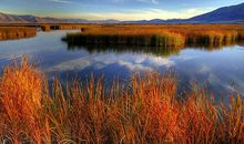 秋天的景色_450字