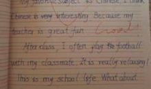 二年级英语作文： My Good Friend_250字