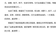 秋天的景色_1200字