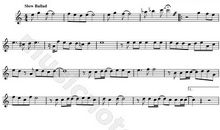 二年级英语作文：The Songs I Like_300字