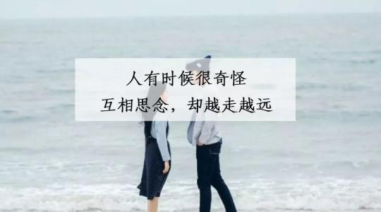 Miss_900字