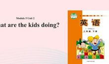 二年级英语作文：The Precious Memory_300字