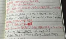 二年级英语作文：The Amazing Voice_300字