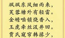 叶虽落，情却在_600字