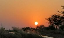 留在记忆深处的风景_900字