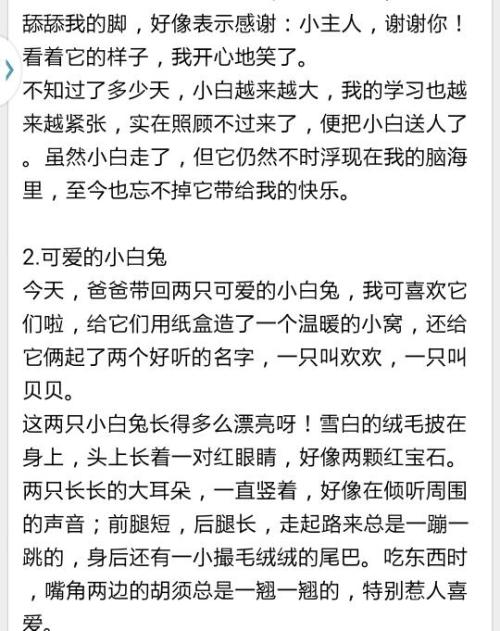 [PK赛]关于动物的构图：“点点”给我的小狗写600字