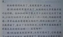 美丽的秋天——关于秋天的作文