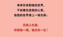 一生的乐趣_500字