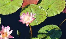 I quietly youth_2000字