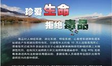 珍爱生命，远离毒品_800字