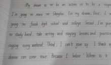 二年级英语作文：The High Expectation_300字