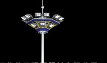 生活中的一杆称_650字