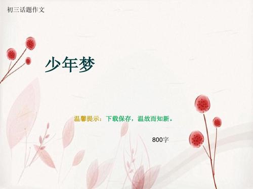 Dream_800字
