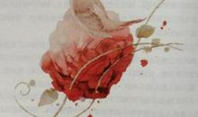 情深未曾讲_900字