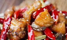 未来的食物_200字