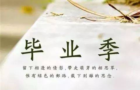 我的高中，我的十七岁_800个单词