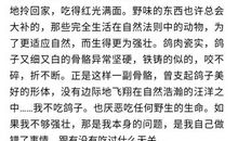 爱优美段落：倾斜的爱段落_650字