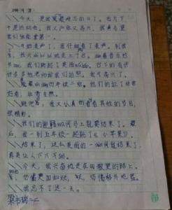 五年级日记：adventure_350个单词