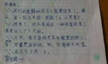 五年级日记：探险_350字