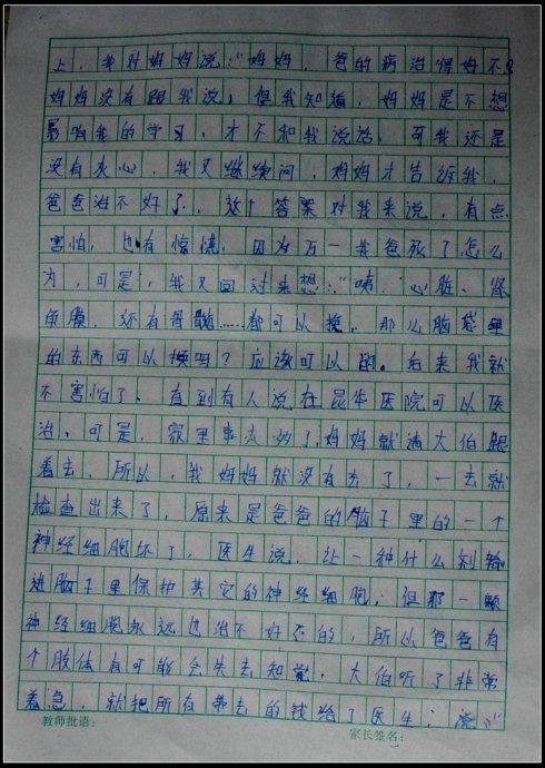 五年级日记：这些年_500字