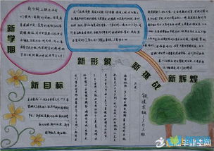 初中新学期计划