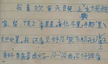 五年级日记：去姥姥家_650字