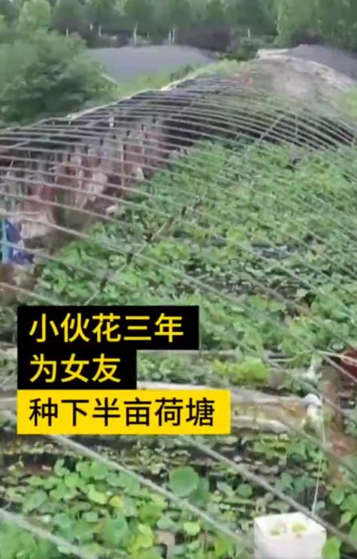 美丽的一段：爱是一盒巧克力段_1000字
