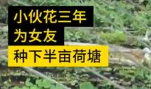 爱优美段落：爱是一盒巧克力段落_1000字