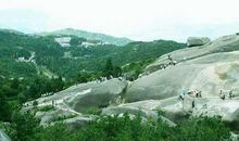 2003年高考安徽优秀作文--谁偷了玉坠?_900字