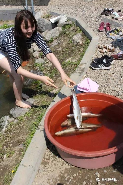 最美丽的女孩_1500个单词