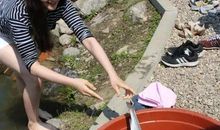 致——最美的女孩_1500字