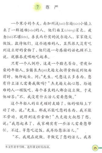 关于尊严的构图：那时，我看到了550字