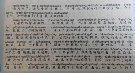 二级叙事作文：Happy Eleven_250个单词