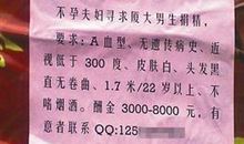 关于尊严的作文：维护尊严_500字