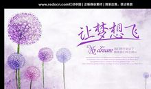 梦在飞翔_800字