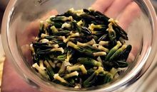 Such as lotus heart_3000字