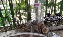 寒冬里的暖流 _450字