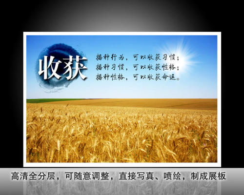 【学生论文征集117】：相信如果您工作700字，就会得到回报