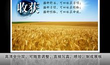 【学生征文选登117】：要相信付出了必将会有收获_700字