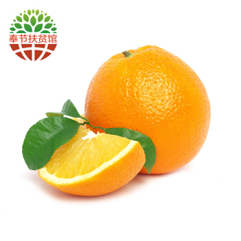 Orange_350字