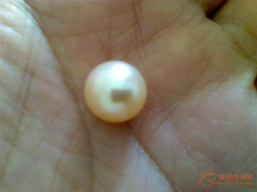 您也是Pearl_1000字