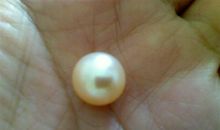 你也是一颗珍珠_1000字