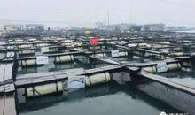 【叙事文】——《第一次去海上游泳》_800字