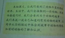 《迷人的夏夜》—满分作文_400字